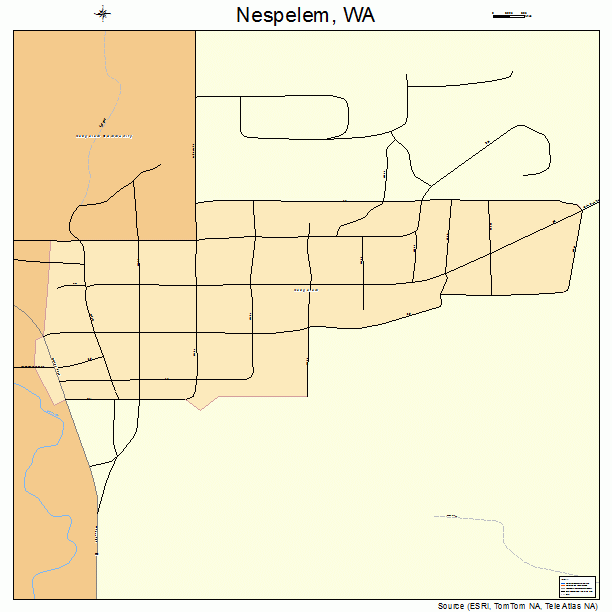 Nespelem, WA street map