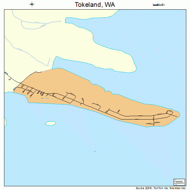 Tokeland, WA street map