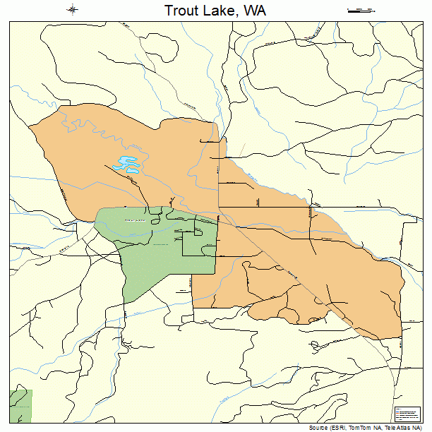 Trout Lake, WA street map