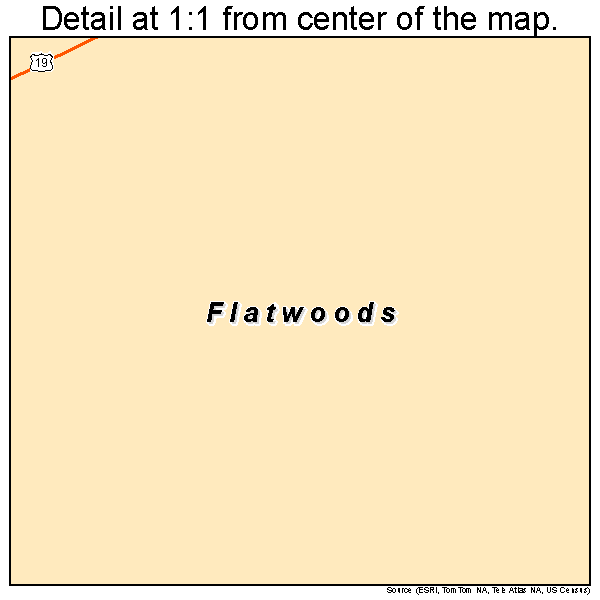 Flatwoods, West Virginia road map detail