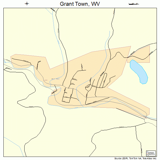 Grant Town, WV street map