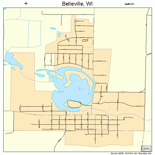 Belleville, WI street map