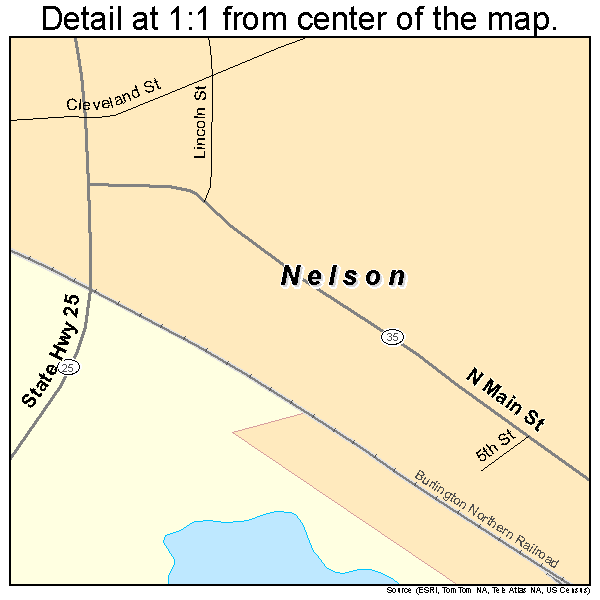 Nelson, Wisconsin road map detail