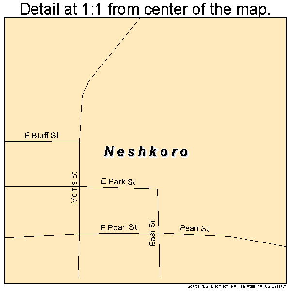 Neshkoro, Wisconsin road map detail
