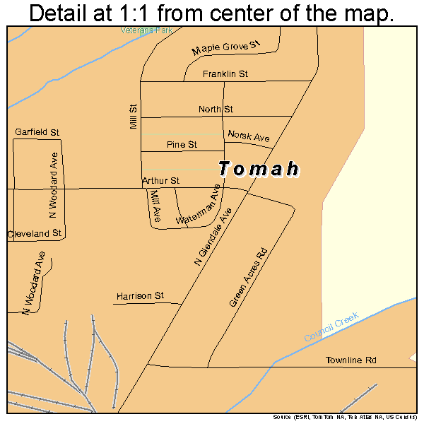 Tomah, Wisconsin road map detail