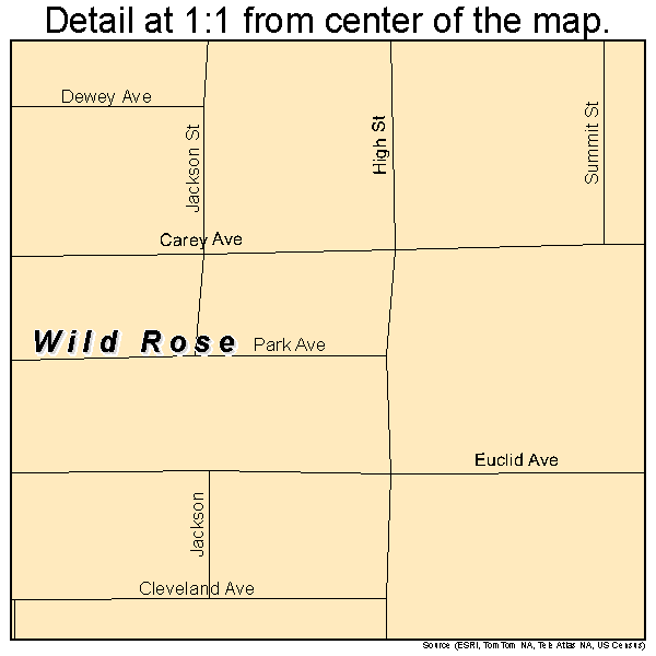Wild Rose, Wisconsin road map detail