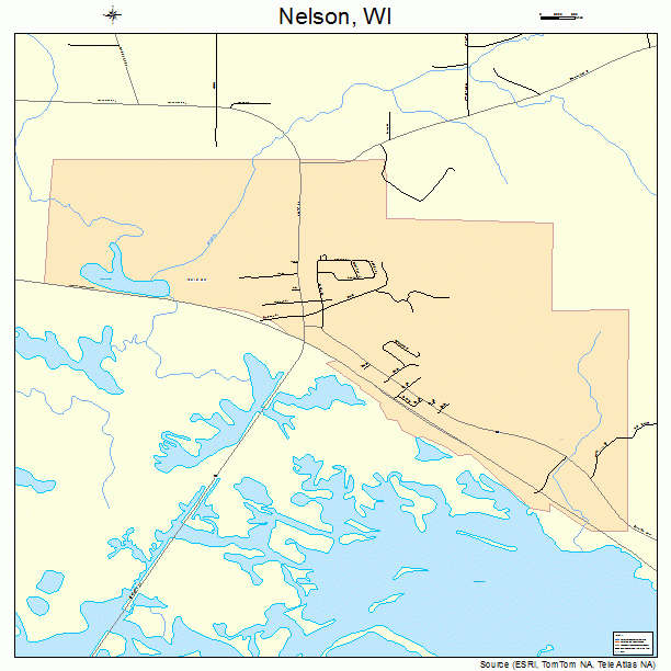 Nelson, WI street map
