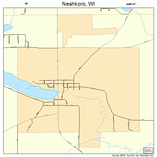 Neshkoro, WI street map