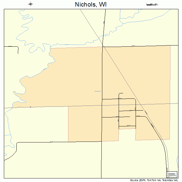 Nichols, WI street map