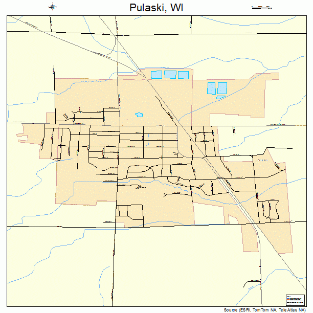 Pulaski, WI street map