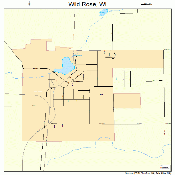 Wild Rose, WI street map