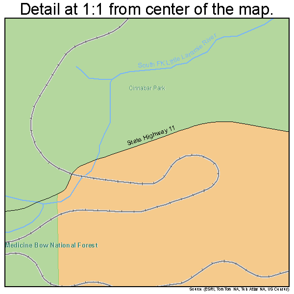 Albany, Wyoming road map detail