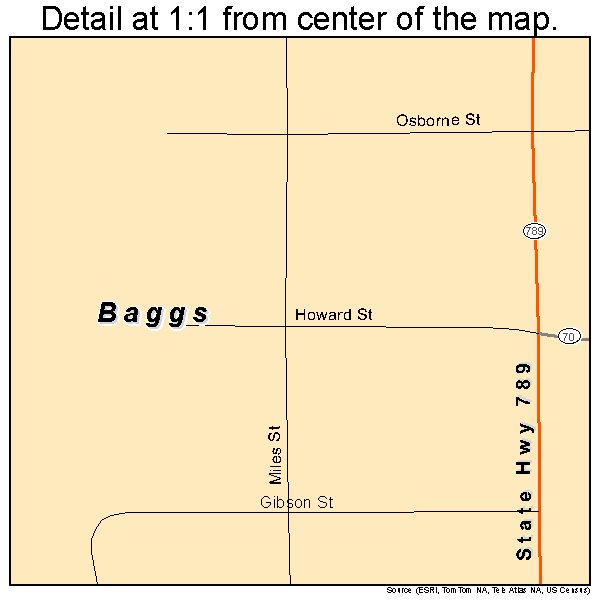 Baggs, Wyoming road map detail