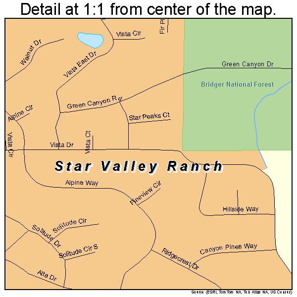 Star Valley Ranch, Wyoming road map detail
