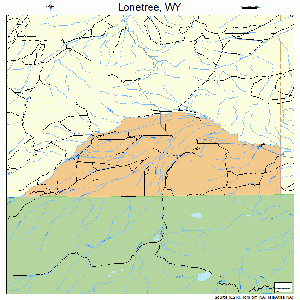 Lonetree, WY street map