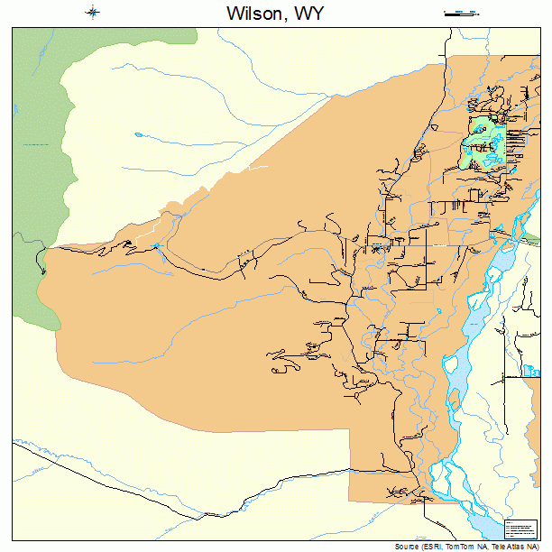 Wilson, WY street map